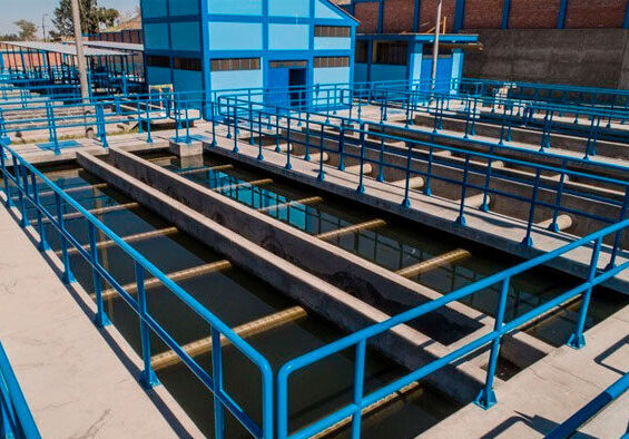 PLANTA-DE-AGUA